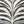 Garden Zebra Pillow 24
