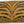Garden Zebra Pillow 24