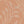 Flora Flow Matte Wallpaper – Cameo