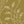 Flora Flow Matte Wallpaper – Olivine