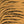 Garden Zebra Matte Wallpaper – Tiger