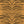 Garden Zebra Matte Wallpaper – Tiger