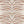 Garden Zebra Matte Wallpaper – Tutti Frutti