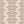 Garden Zebra Matte Wallpaper – Tutti Frutti