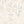 Pollen Abundance Matte Wallpaper – Neutral