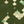 Scale Balance Matte Wallpaper – Bracken
