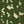 Scale Balance Matte Wallpaper – Bracken