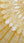 Sunflower Radiance Linen- Sunshine