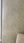 Pollen Abundance Matte Wallpaper – Neutral