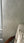 Pollen Abundance Matte Wallpaper – Neutral