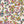 Field Flower Matte Wallpaper – Tutti Frutti